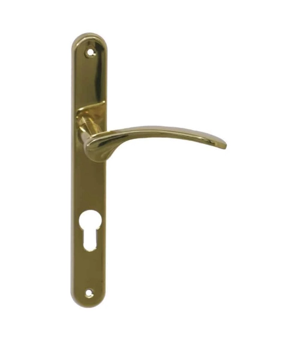 Poignée de porte Roma laiton poli verni