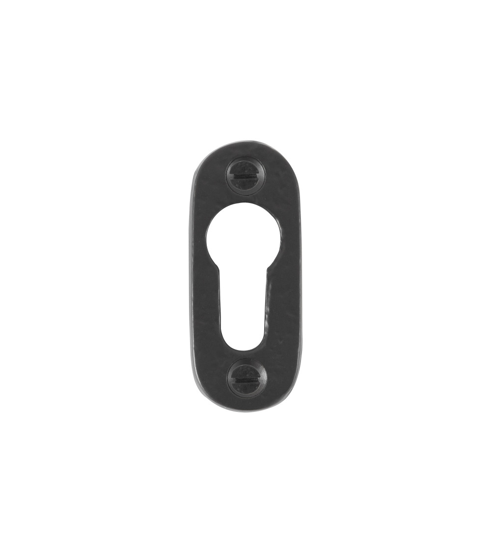 Rosace de porte CDF clé PZ-PBTC 1 -  quincaillerie design