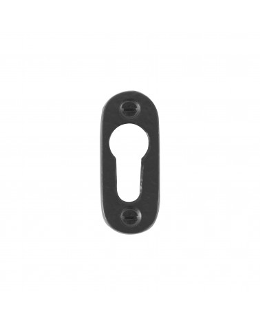 Rosace de porte CDF clé PZ-PBTC 1 -  quincaillerie design