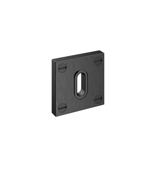 Rosace de porte BAUHAUS Clé de chambre