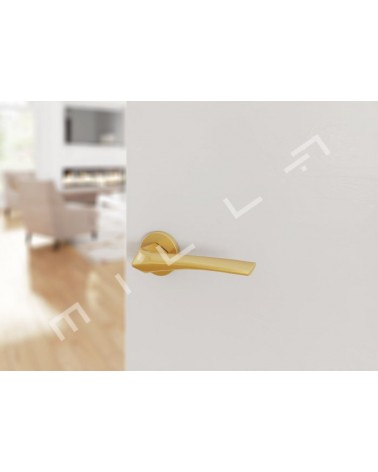 Poignée de porte or mat DALIA poignée design montée sur une porte 1