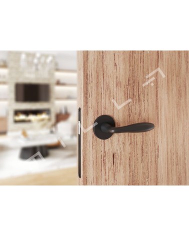 Poignée de porte noire mate VERBENA poignée design vue de face montée sur une porte