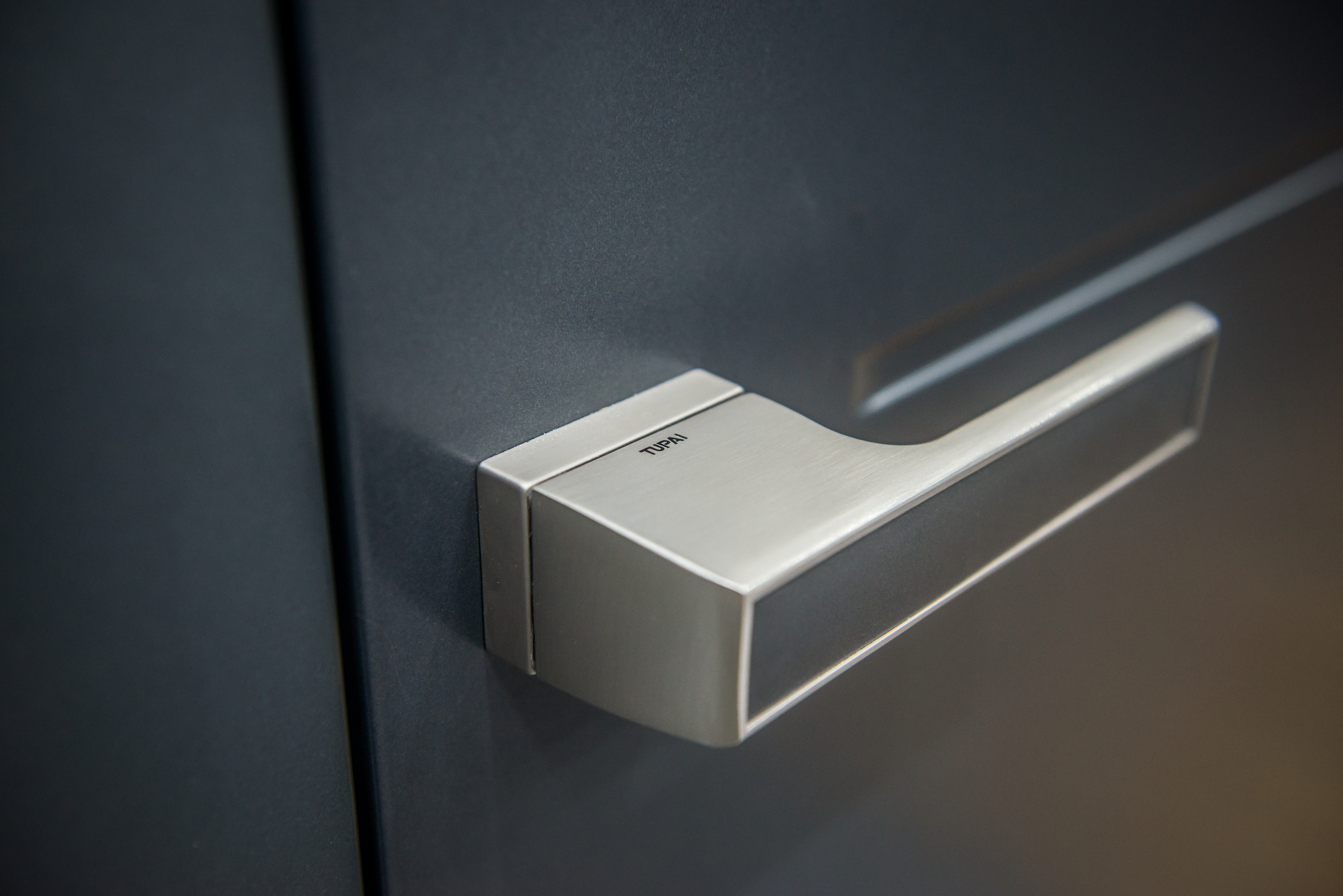 poignée de porte sur plaque cachée de couleur chrome brossé avec insert gris