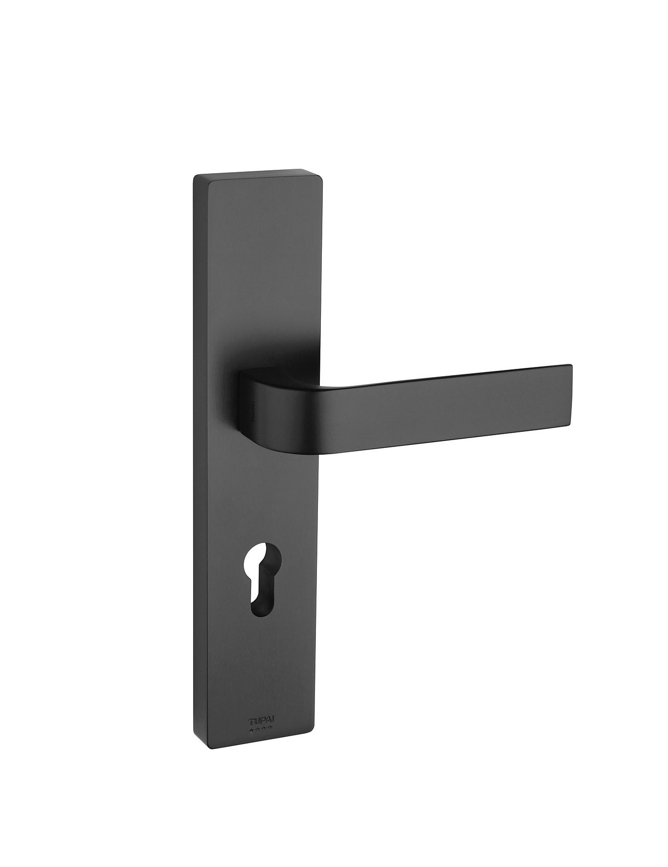 Poignée de porte extérieure sur plaque longitudinale en finition nickel brossé
