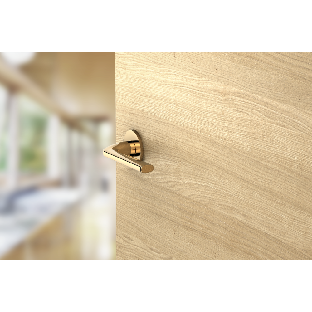 poignée d'intérieure élégante en finition or pour donner un côté bling bling à votre porte en bois