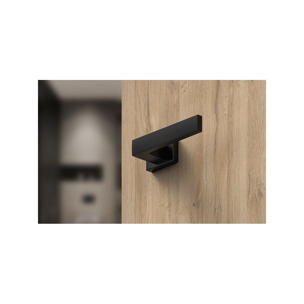 poignées noire sur une essence claire mise en valeur sur cette porte finition bois clair