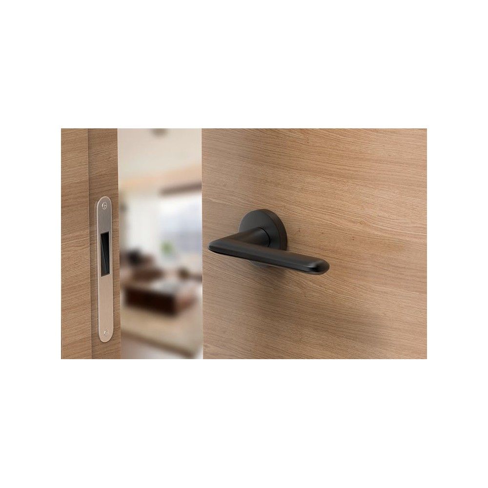 poignée d'intérieur noire moderne sur une plaque ronde sur une porte en bois aspect clair