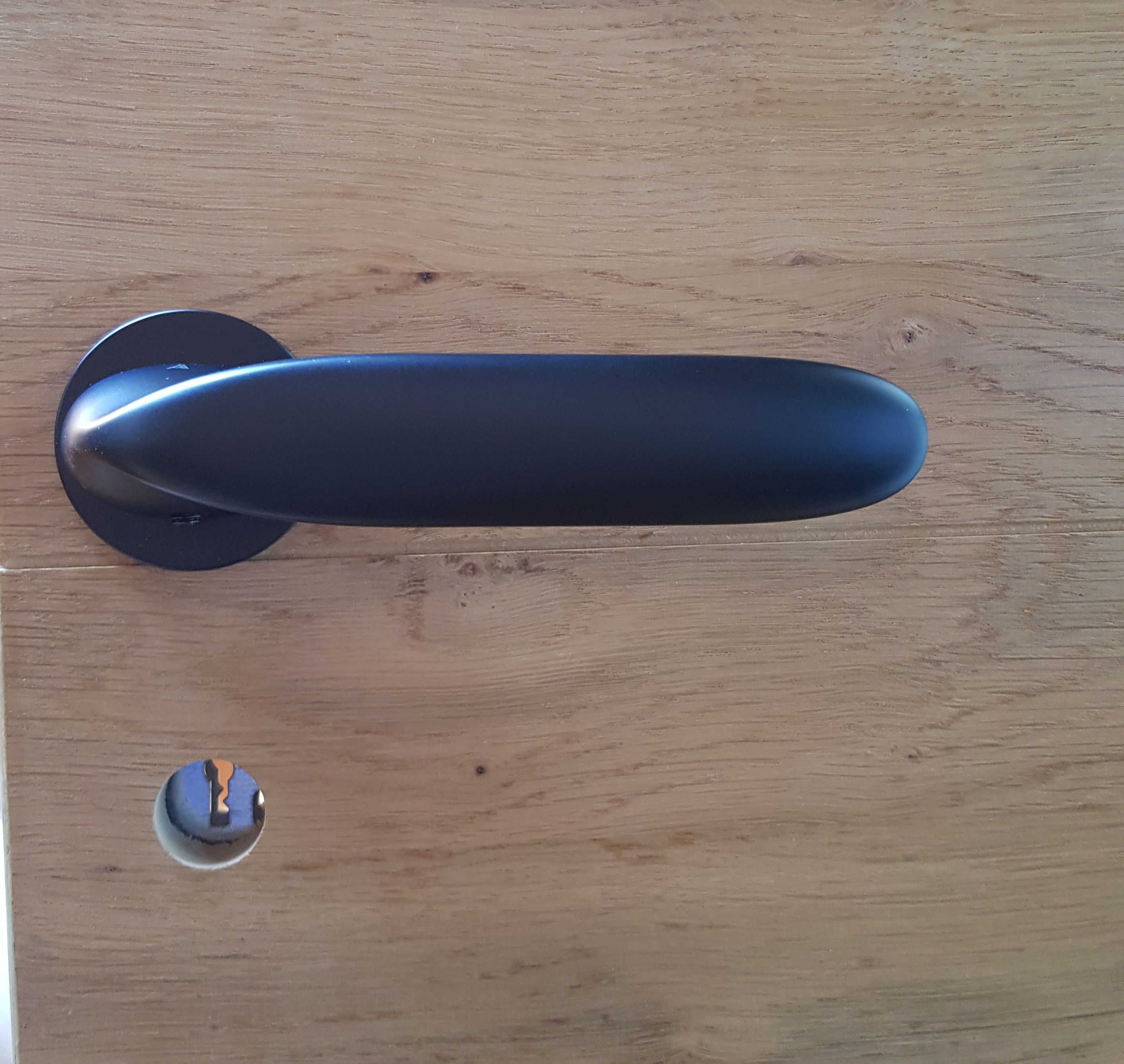 poignée noir sur rosace ronde originale montée sur une porte en bois