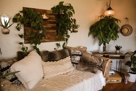 Mur végétal et une décoration éco-responsable