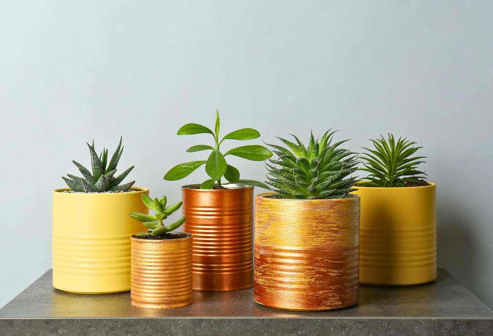 Pots de fleurs en pots de sauce pour une déco rustique