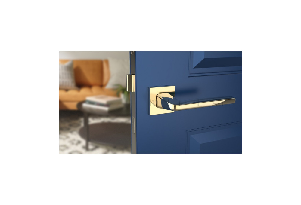 Quelle poignée pour une porte bleue?